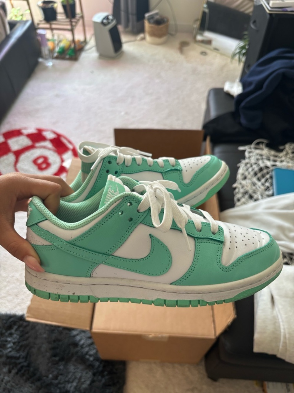 Nike Dunk Low Women’s Sneaker